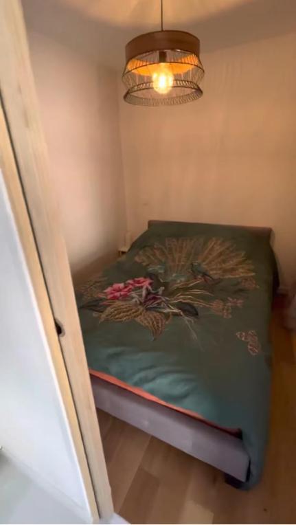 Superbe appartement entre lac et montagne. Veyrier-du-Lac Extérieur photo